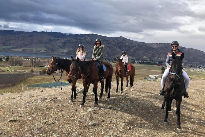 Golden Hills Horse Trek in Central Otago - Key points to know before you book
