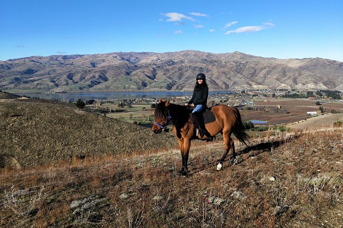 Golden Hills Horse Trek in Central Otago - Why this ride feels different from a standard Queenstown outing