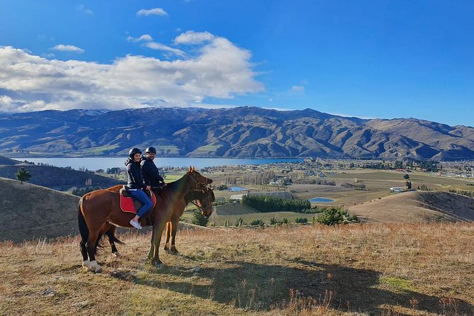 Golden Hills Horse Trek in Central Otago - Who should book Golden Hills Horse Treks?