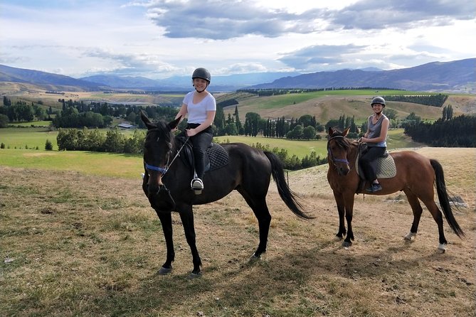 Golden Hills Horse Trek in Central Otago - Meeting the horses before the trail