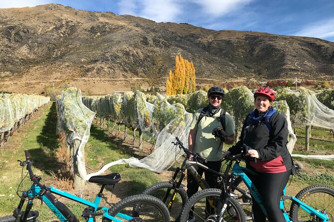Guided eBike Wine Tour Ride to the Vines - Starting at Country Lane and Arrowtown