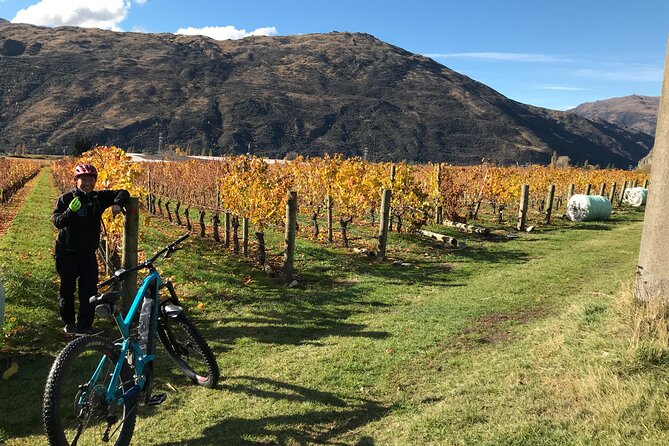 Guided eBike Wine Tour Ride to the Vines - Two boutique wineries in Gibbston