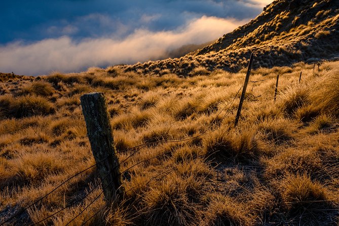 Half-Day Queenstown Photography Tour - Should you book the Skippers Canyon photography tour?