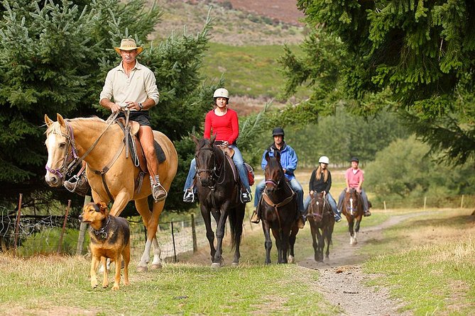 Half Day Walter Peak Horse Trek and Cruise from Queenstown - The guides make the difference