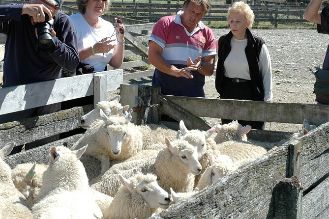 High Country Discovery Tour from Queenstown - Middle-earth film locations without losing the real place