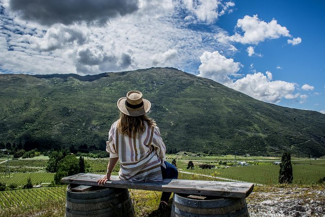 Hop on Hop off Wine Tours Queenstown - Ayrburn, Mora, and Amisfield
