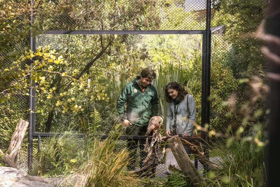 Kiwi Park Admission Ticket - A 30-minute show with a serious message
