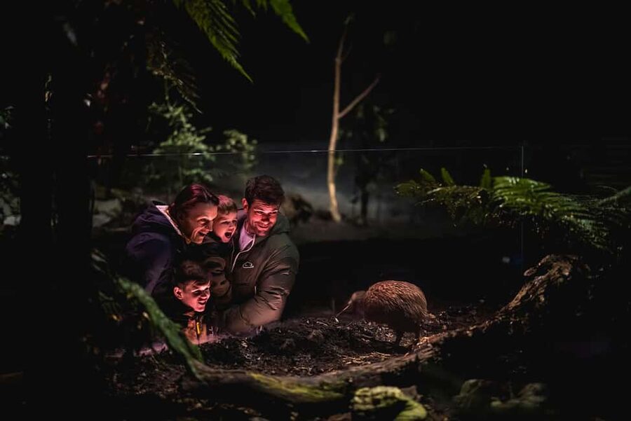 Kiwi Park Admission Ticket - Is $35 good value?