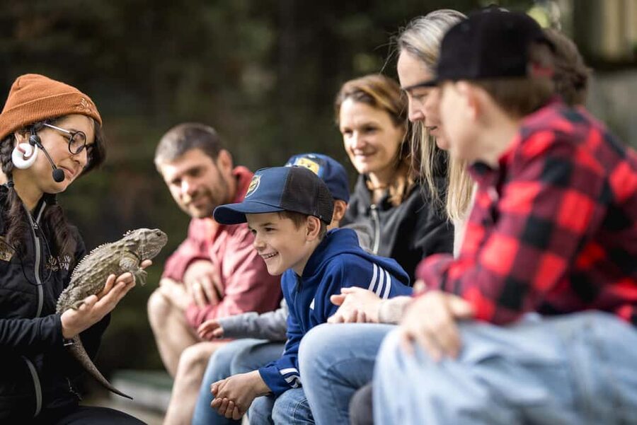 Kiwi Park Admission Ticket - Who will enjoy Kiwi Park most?