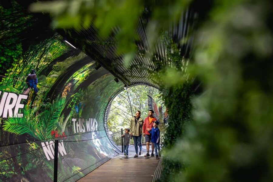 Kiwi Park Admission Ticket - Small details that improve the visit