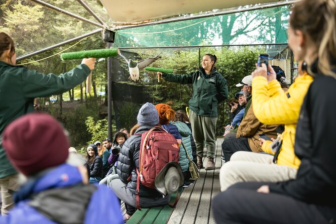 Kiwi Park Queenstown Admission - A forest walk in the center of Queenstown