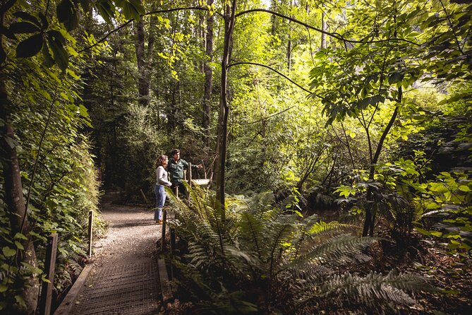 Kiwi Park Queenstown Admission - The audio guide makes an independent visit easier