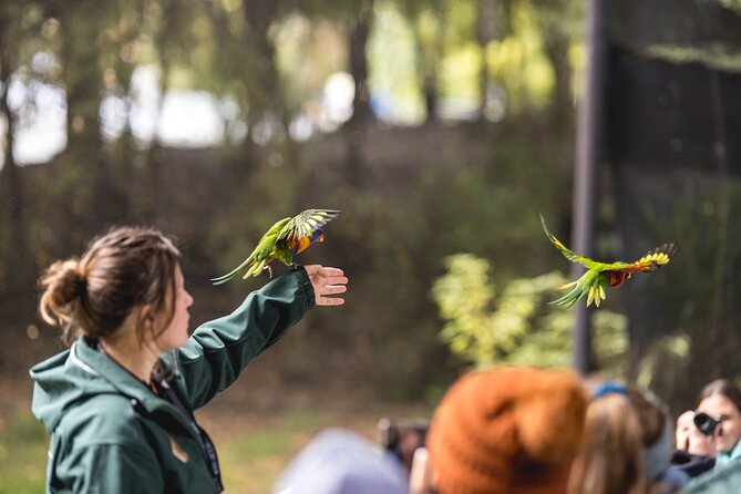 Kiwi Park Queenstown Admission - How to plan the visit around the timetable