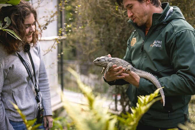 Kiwi Park Queenstown Admission - What the $39.72 admission buys you