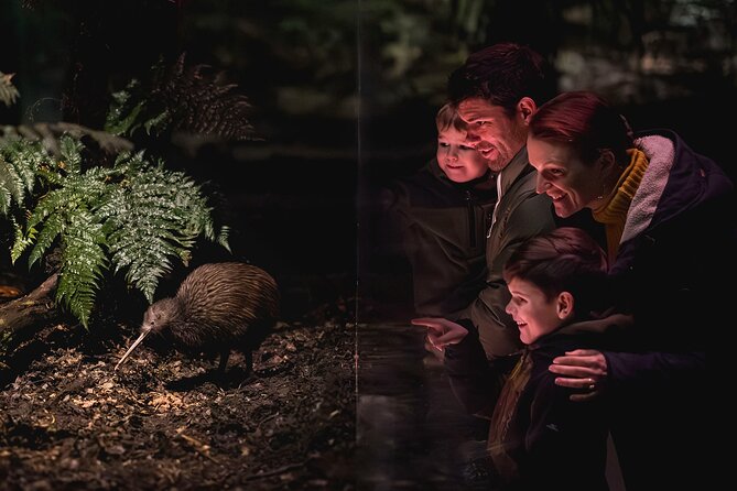 Kiwi Park Queenstown Admission - Meet the tuatara, a living link to the past
