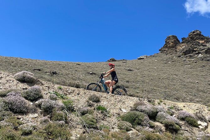 Lake Dunstan Cycleway Bike Rental And Return Shuttle - Why the Lake Dunstan Cycleway is worth your time