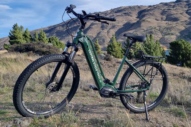 Lake Dunstan E-Bike Trail Adventure - Who will enjoy this ride most