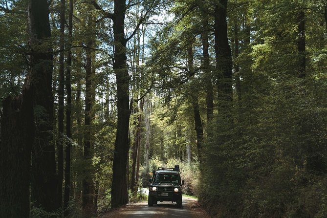 Lord of Rings Tour around Queenstown Lakes by 4WD (full day) - Skippers Canyon and Lighthouse Rock