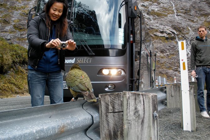 Luxury Milford Sound Coach and Scenic Cruise - Lake Wakatipu begins the morning with big views