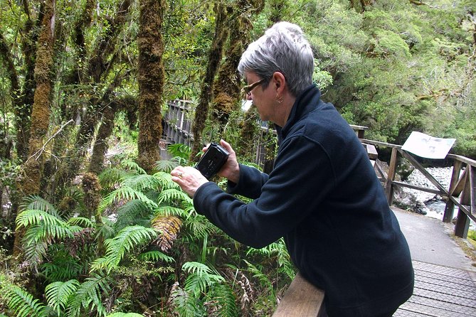 Luxury Milford Sound Coach and Scenic Cruise - Mirror Lakes rewards calm weather