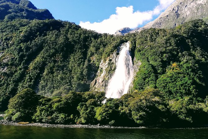 Luxury Milford Sound Coach and Scenic Cruise - The Milford Sound cruise brings the day together