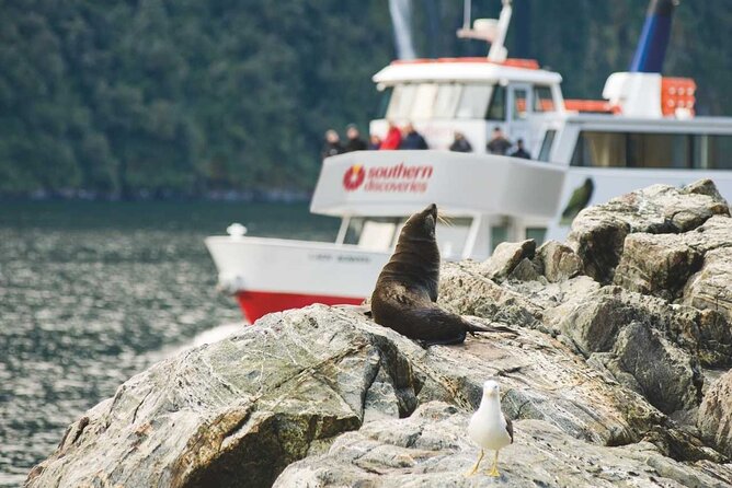Milford Sound Coach & Extended Cruise from Queenstown - Is $207.89 a fair price?
