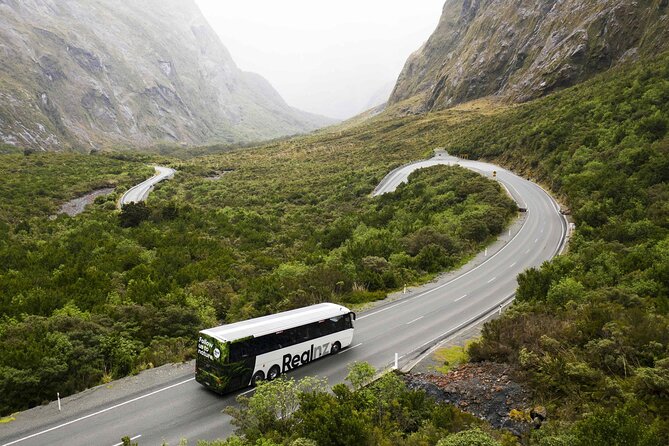 Milford Sound Cruise from Queenstown or Te Anau - Why the guides matter so much