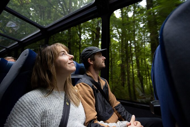 Milford Sound Cruise from Queenstown or Te Anau - Who should book this Milford Sound trip?