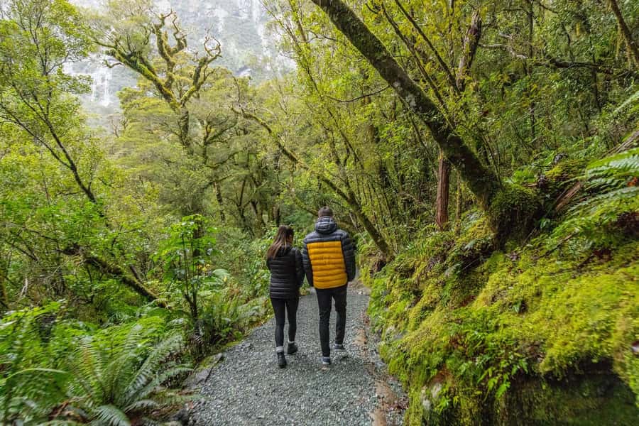 Milford Sound: Premium Small Group Tour from Queenstown - The two-hour Milford Sound cruise
