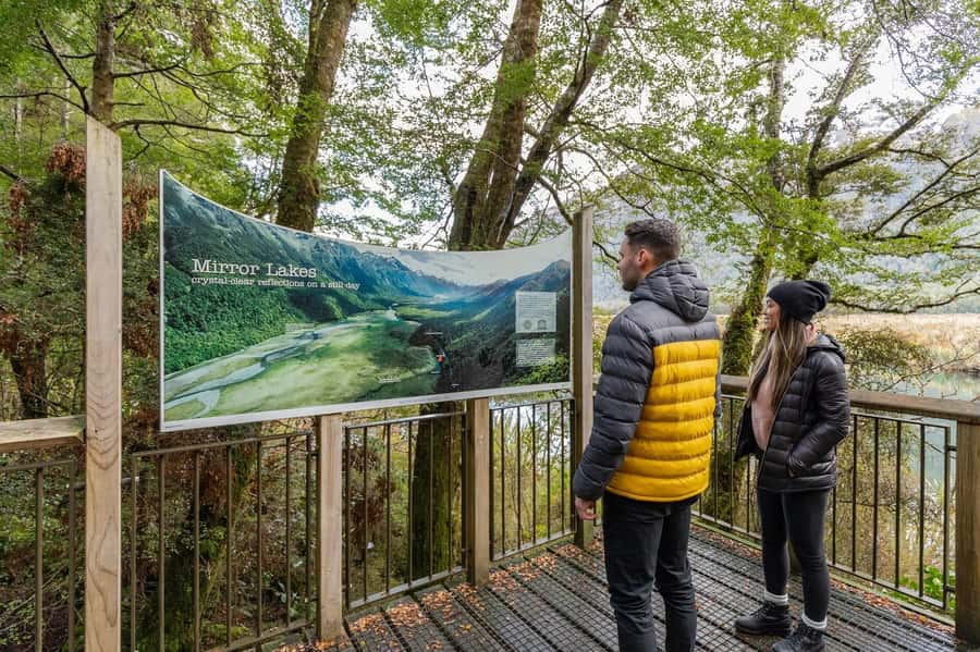 Milford Sound: Premium Small Group Tour from Queenstown - The optional glass-roof van