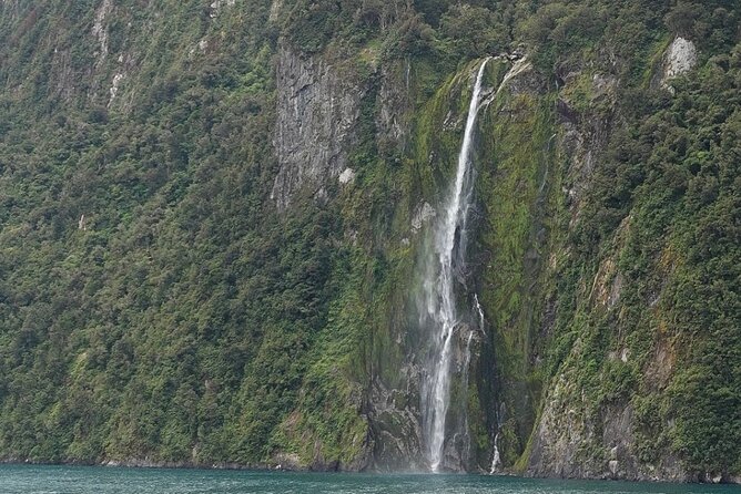 Milford Sound Private Day Trip from Queenstown via Te Anau - What the private format is worth