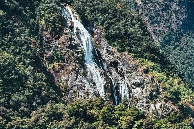 Milford Sound Private Day Trip from Queenstown via Te Anau - Food, comfort, and the long return