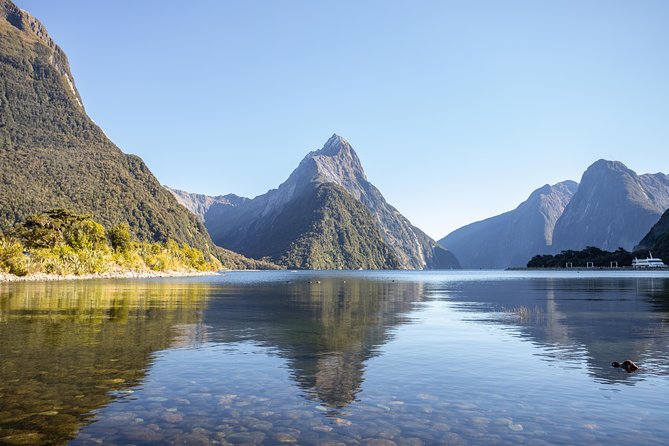 Milford Sound Small Group Tour from Queenstown with Scenic Flight - Why the drive to Milford Sound is worth your morning