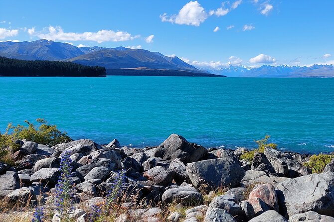 Mount Cook Tour: Finish at Queenstown, Christchurch or Dunedin - Leaving Queenstown through the Central Otago country