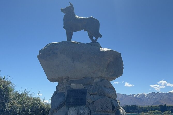 Mt. Cook Private Day Trip From Queenstown with Lake Tekapo - A long road to Aoraki/Mount Cook