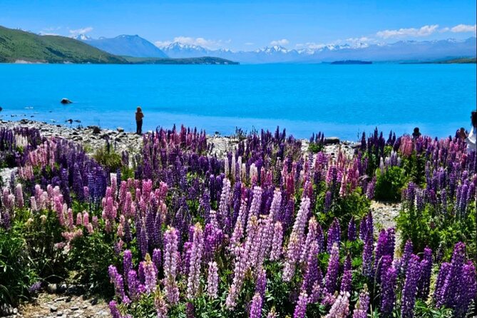 Mt. Cook Private Day Trip From Queenstown with Lake Tekapo - Hooker Valley offers a short taste of alpine walking