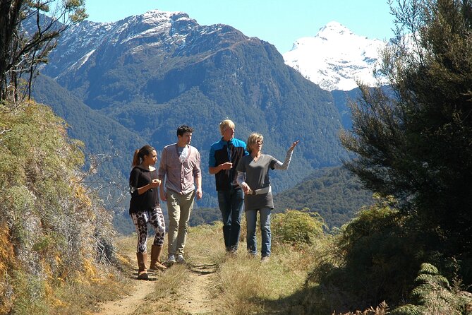 Paradise Valley Full Day Tour - Isengard, native forest, and the Dart River view