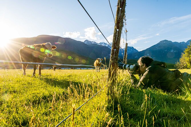 Photography Tour from Queenstown to Glenorchy - 1/2 Day - Is $235.82 per person fair value?