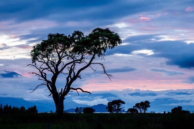 Photography Tour from Queenstown to Glenorchy - 1/2 Day - Who should book this Queenstown photography tour?