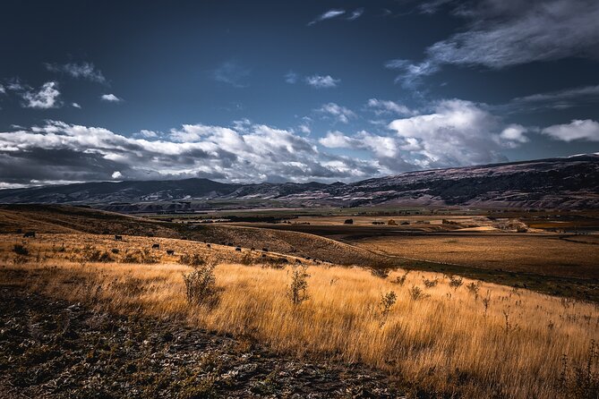 Private Central Otago Wine tasting Tour with Gourmet Lunch. - Cromwell turns lunch into a main event