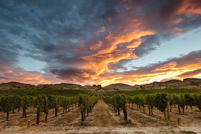 Private Central Otago Wine tasting Tour with Gourmet Lunch. - A second Gibbston stop adds contrast