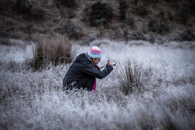 Private Half Day Photography Tour of Queenstown | Skippers | Glenorchy - Learning with Aiste, from first camera to advanced skills