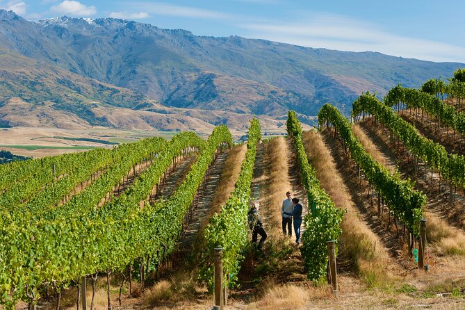 Private Queenstown Wine Tour All-Inclusive Tour - Leaving Queenstown with a private driver