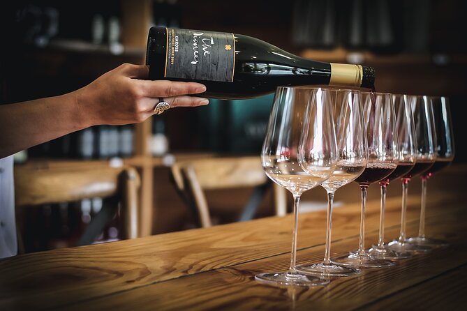 Private Queenstown Wine Tour All-Inclusive Tour - Who should choose this experience?