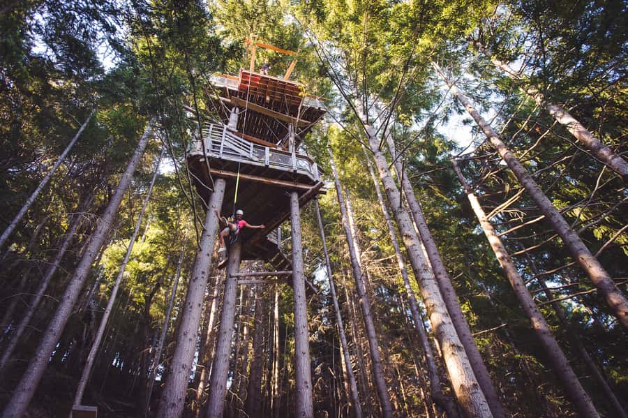 Queenstown: 1-Hour Zipline Tour with 2-Lines & 21-Meter Drop - Who will enjoy this most