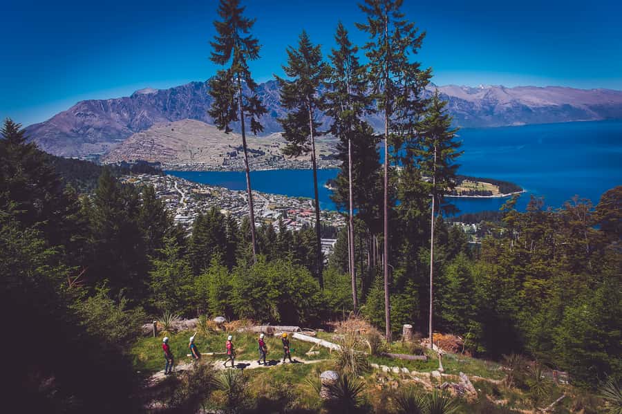 Queenstown: 3-Hour Zipline Adventure with 6-Lines - Practical tips for a smoother three hours