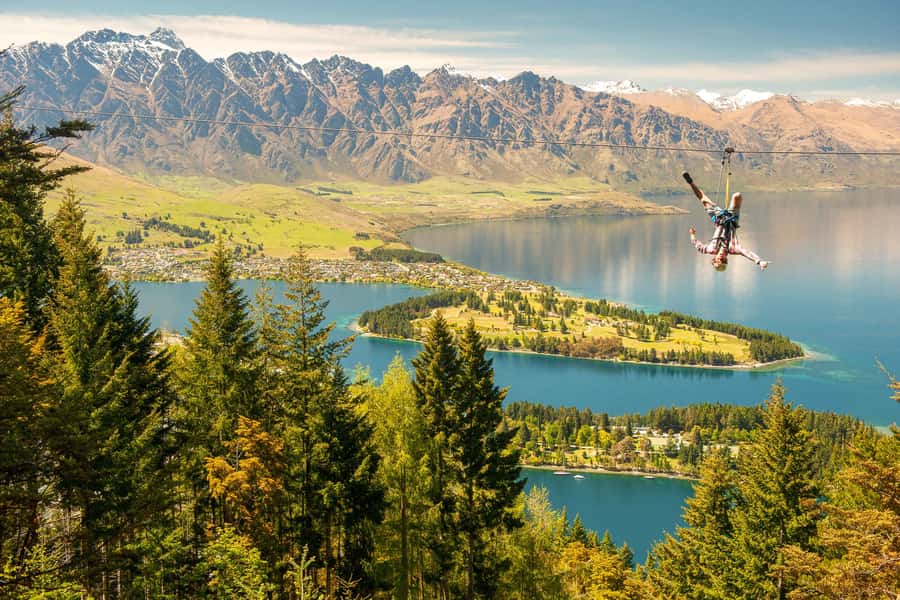 Queenstown: 3-Hour Zipline Adventure with 6-Lines - Native forest, mountain views, and stories between rides