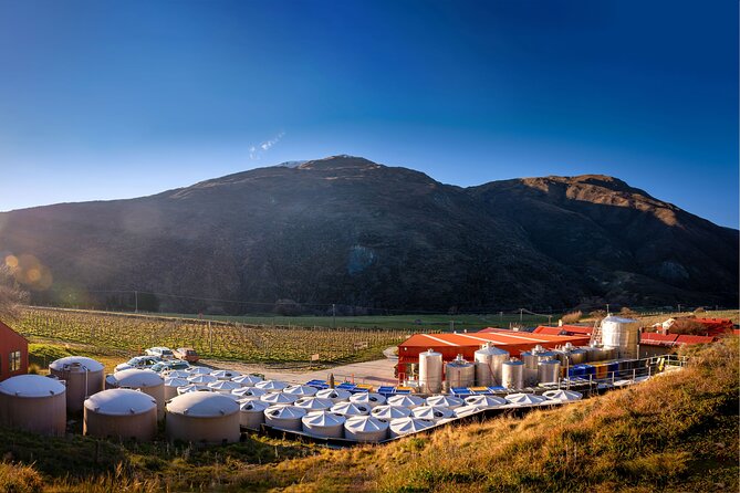 Queenstown Afternoon Wine Tour - Peregrine | Kinross | Amisfield - Amisfield and the stone cellar door