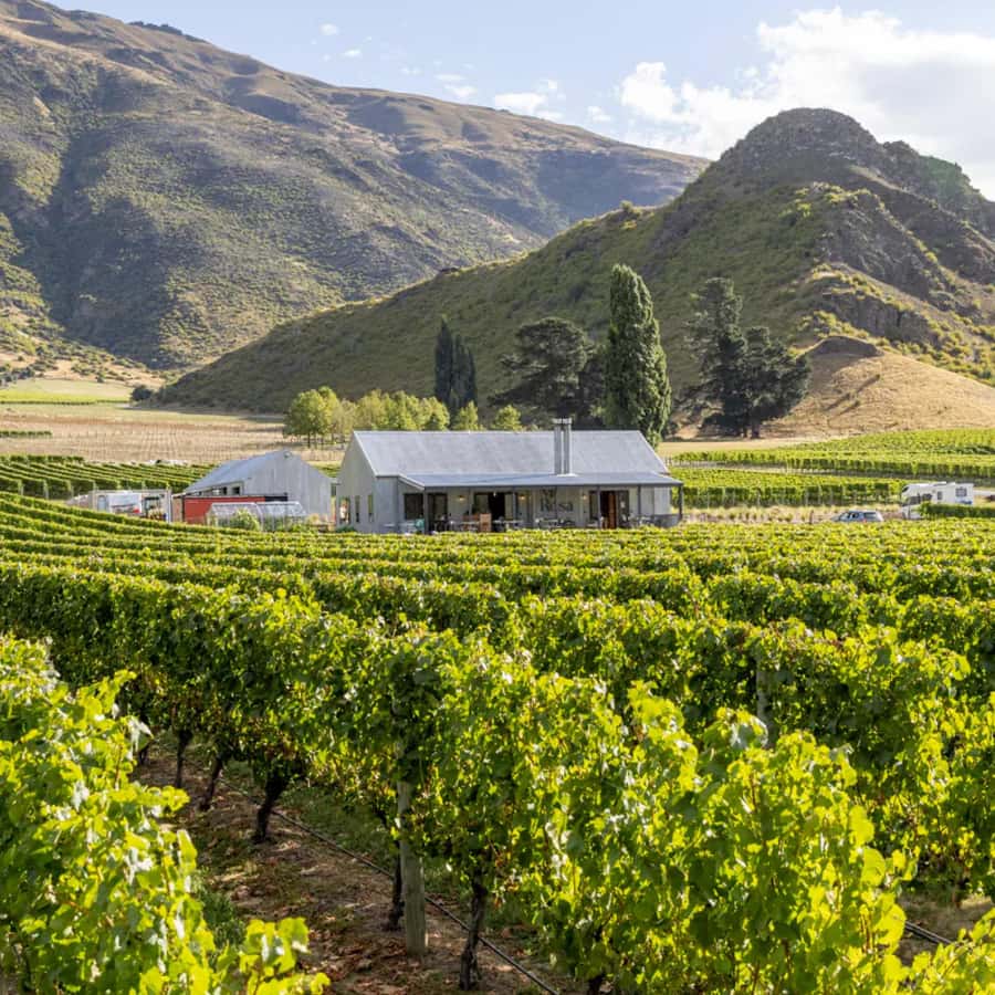 Queenstown, Arrowtown, Gibbston: Flexible Wine Hopper Tours - Gibbston Valley: caves, cheese, and serious wine