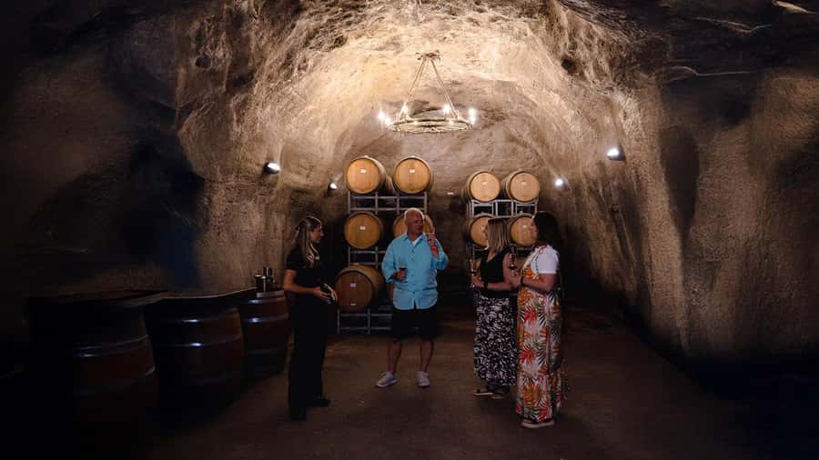 Queenstown: Classic Wine Tour - Inside Gibbston Valley Winery’s underground cave